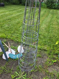 Tomato cages