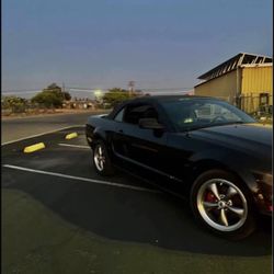 2005 Mustang 