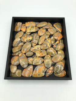 Bumblebee Jasper Cabochons 