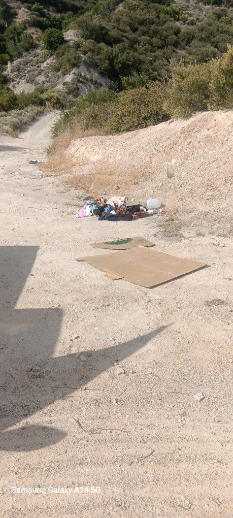 Found On Dirt Road In Lytle Creek