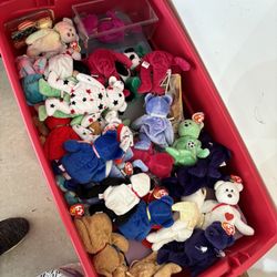 Box Of Beanie Babies 