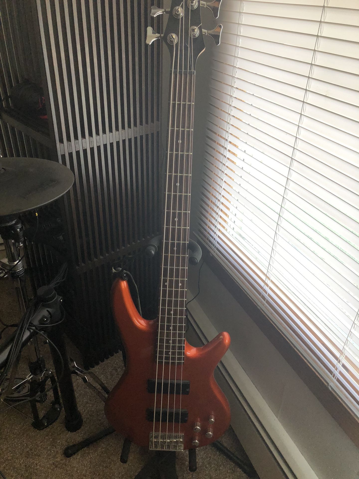 Ibanez 5string