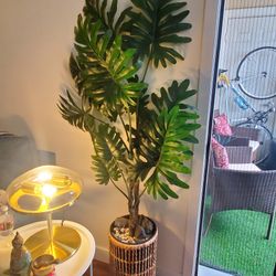 Moving Sale - 2 Large Plants w/Base