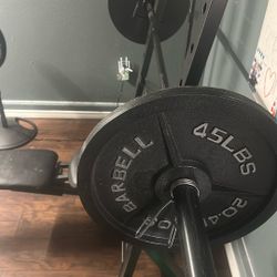Bench Press 