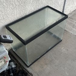 Fish Tank Aquarium Terrarium