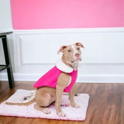 🐾 Dog Show & Tail, The Pupsicle, PINK With Sherpa Jacket, NWT