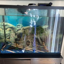 32 Gallon Fish Tank