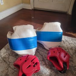 Masterline Youth Martial Arts, MMA, Boxing Sparring Chest Protectors Size 1 And Size 2 Masterline Head Gear Protector Size Medium 