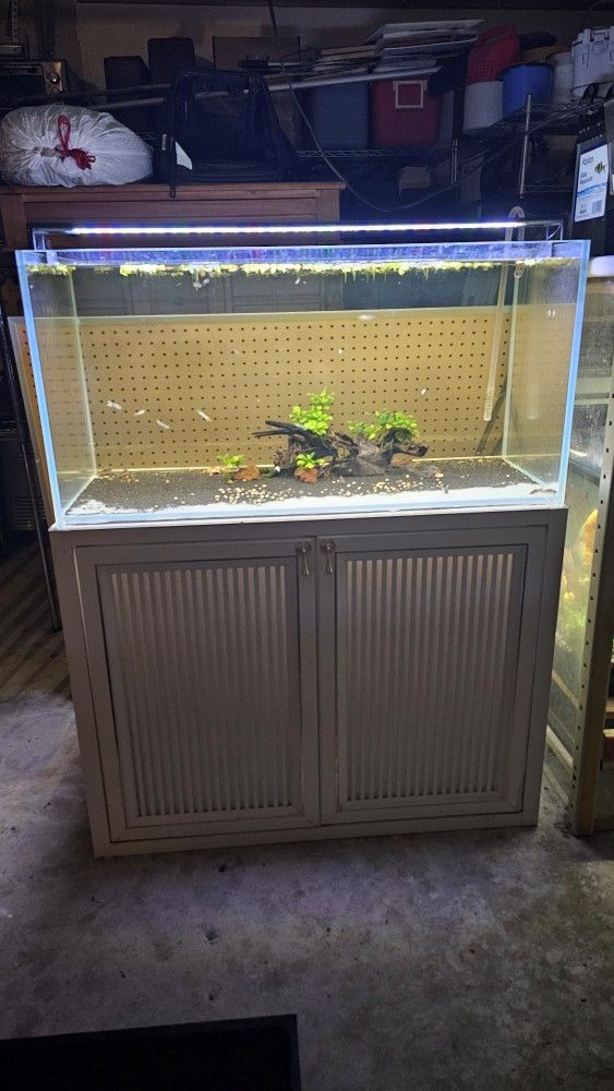 58 Gallon Rimless Aquarium