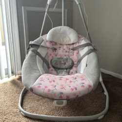 Ingenuity Infant Swing