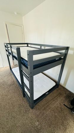 Living spaces bunk beds