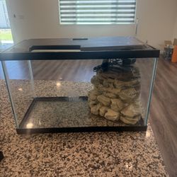 10 gal tank 