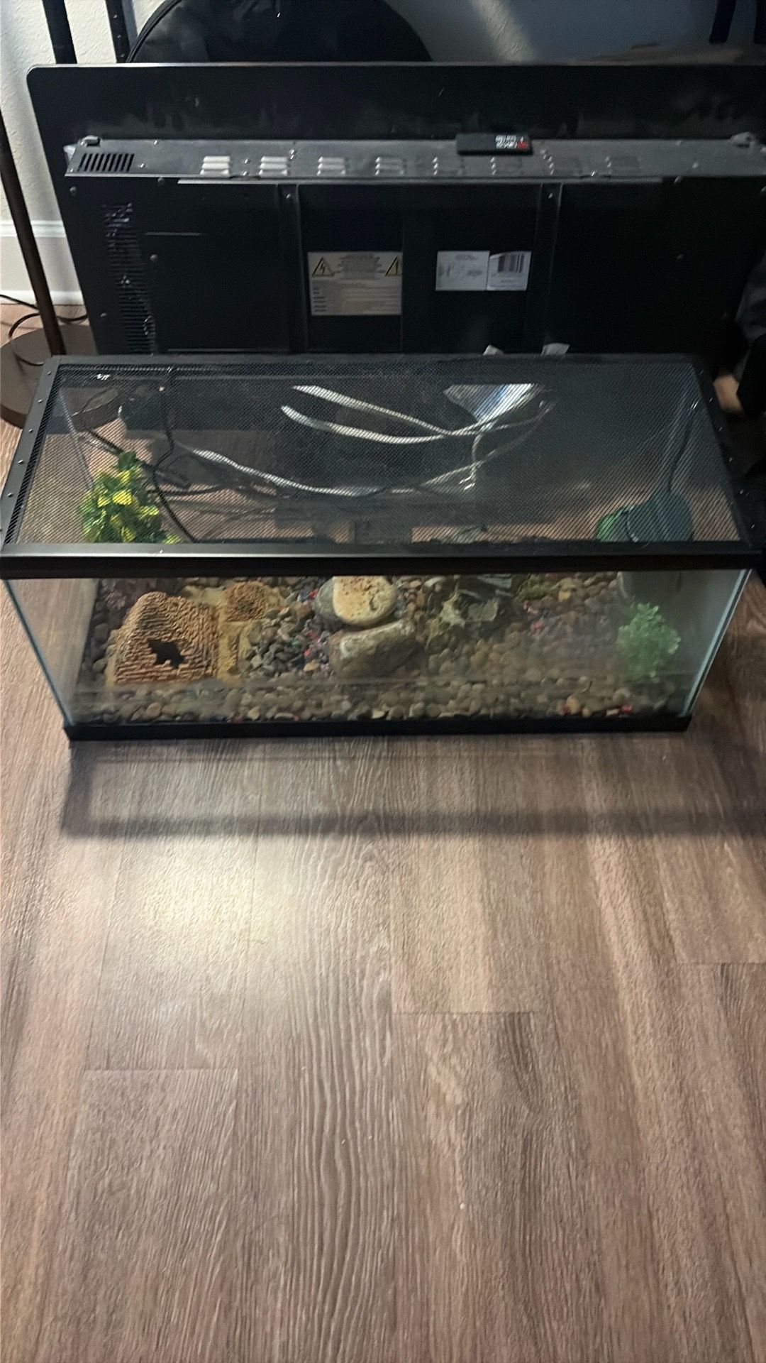 20 Gallon Fish/Turtle Tank w/ add-ons