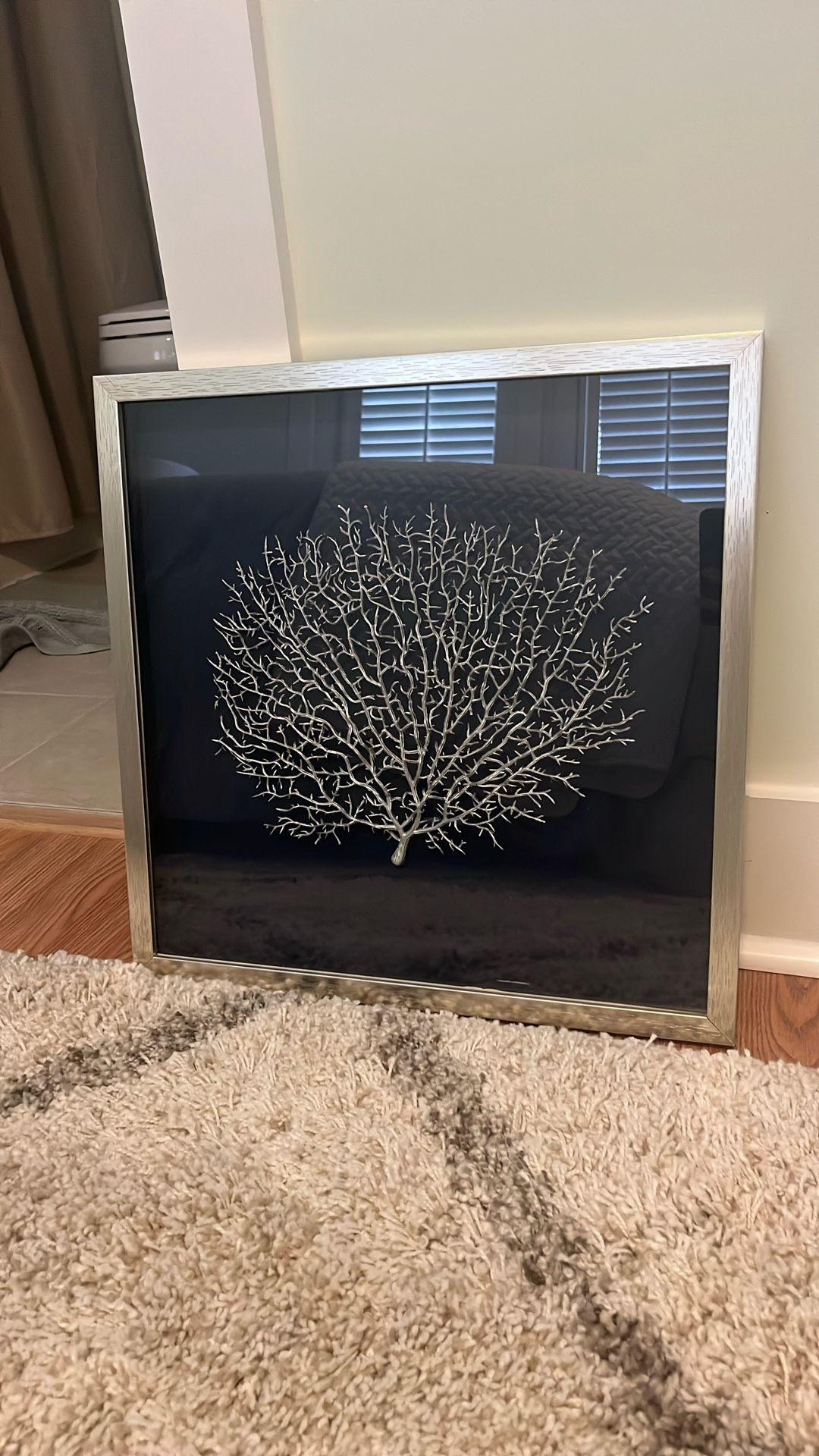 Set Of 2 Framed Coral Decor