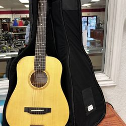 Traveler Acoustic Guitar 