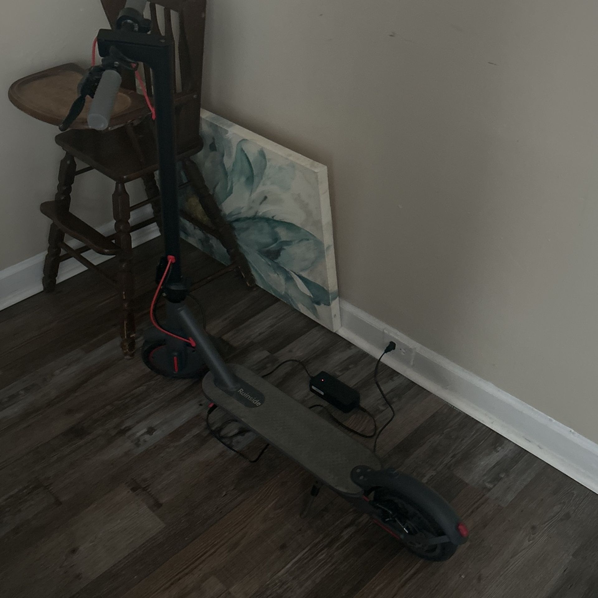 Roinside E-Scooter