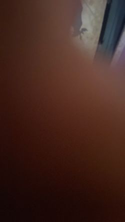 iPhone 13 mini red