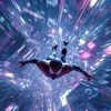 theCollector 
