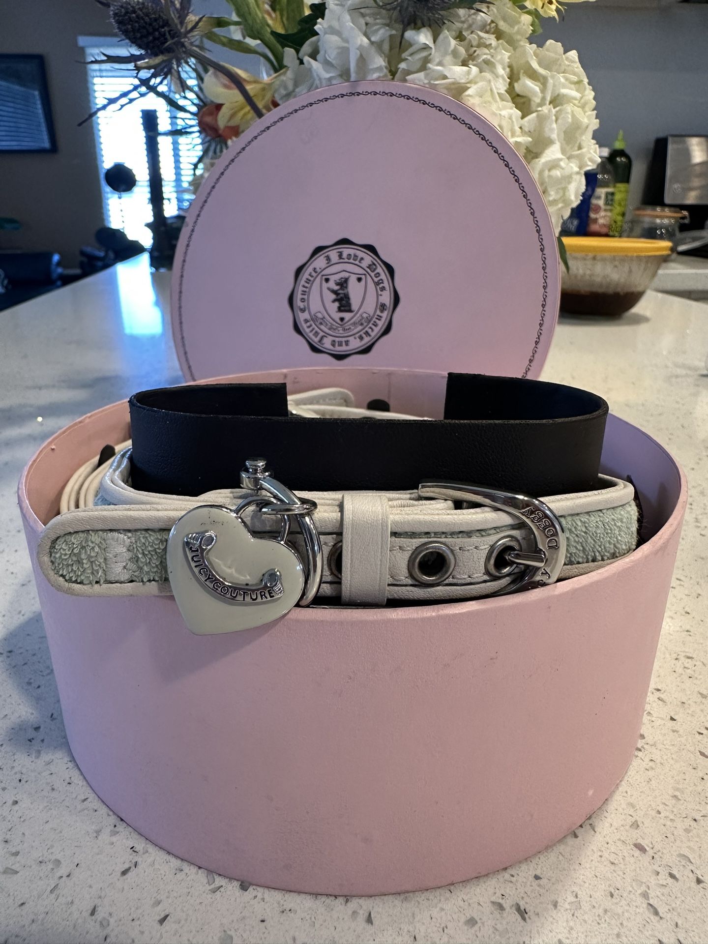 RARE New Y2K  Juicy Doggy Couture  Leather Dog Collar Chain Leash Lead Set w/ Box S