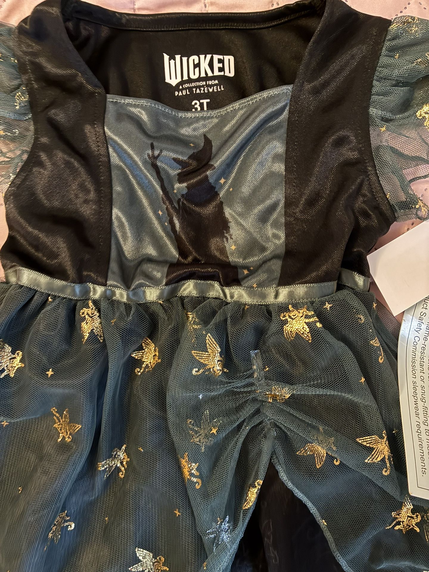 Wicked a Collection from Paul Tazewell Girl 3T Dress Costume or Dress Up