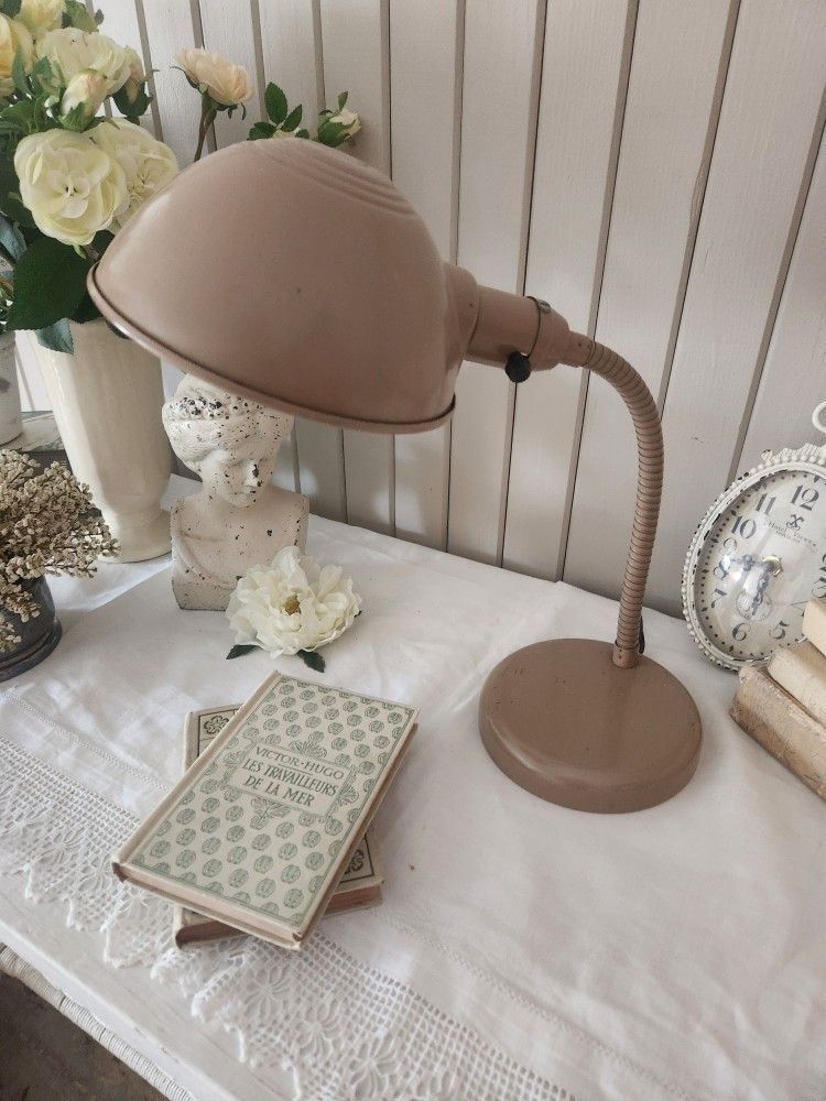 Charming Vintage Gooseneck Lamp