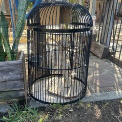 Large Bird Cage 