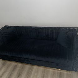 Velvet Living Room Couch with 2 pillows
