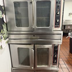 Industrial Oven 