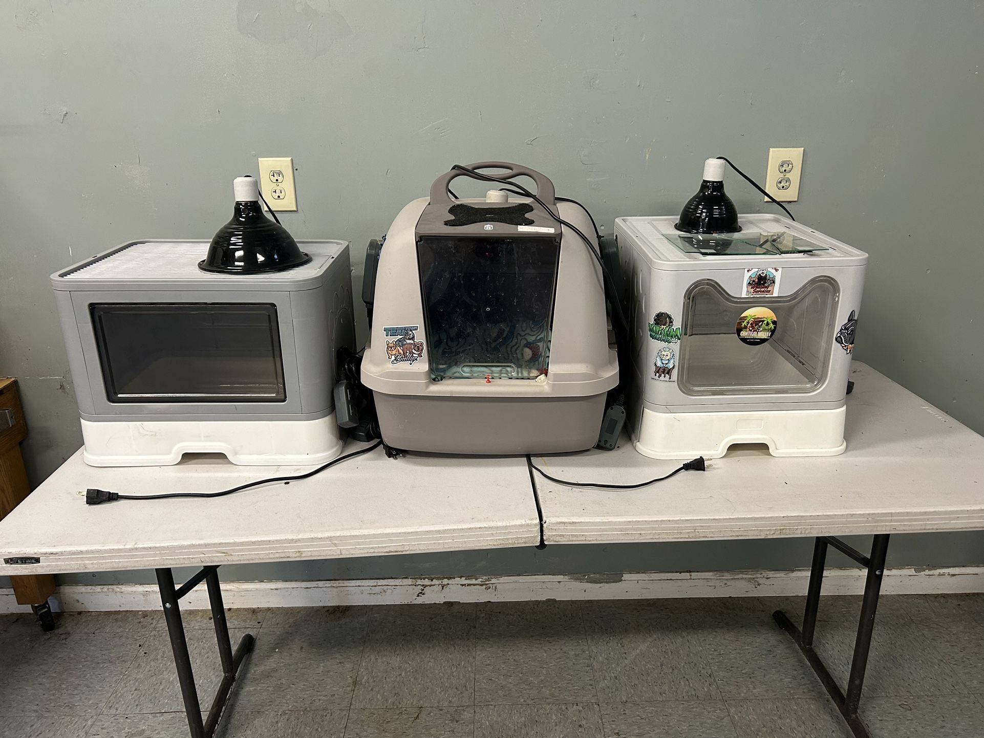 Incubator And Kennel