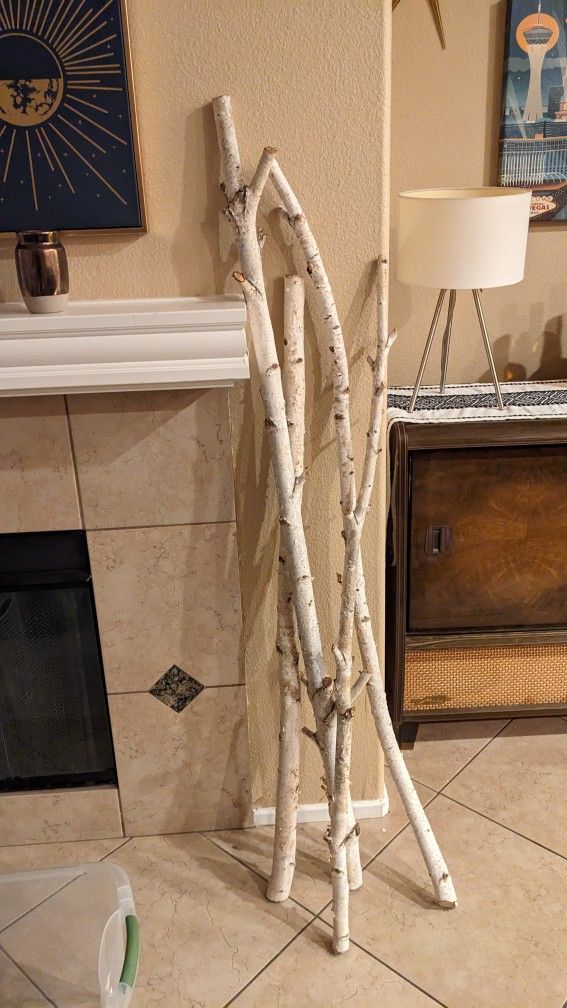 Decorative White Birch Tree Branches