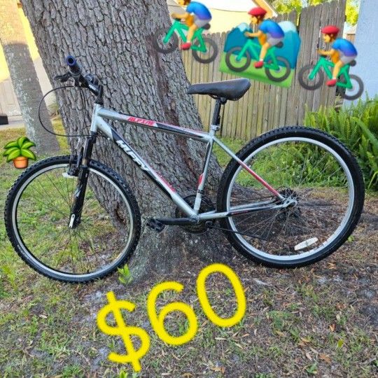 Mountain Bike