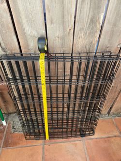 Dog fence