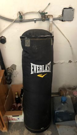 Everlast punching bag