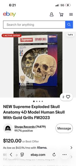 Supreme 4D Human Skull Anatomy Model – Gold Grill – FW23 💀