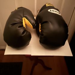 Black Windy 16 Oz. Large Muay Thai Training Gloves