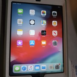 Ipad mini 2 with case