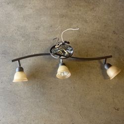 Light Fixture