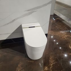 Smart Toilet B5