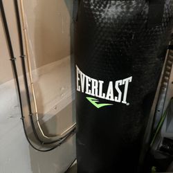 Everlast Punching Bag. 