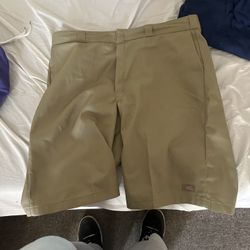 Dickie Shorts Size 44
