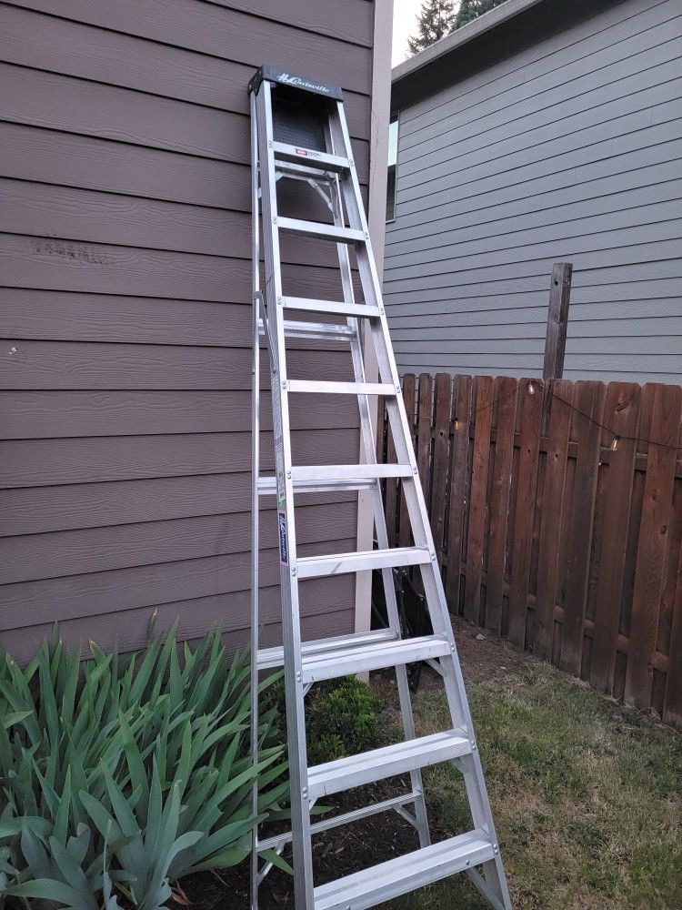 Louisville 10ft Ladder