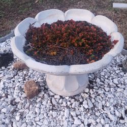 This Is Not Concrete Not Sure What 