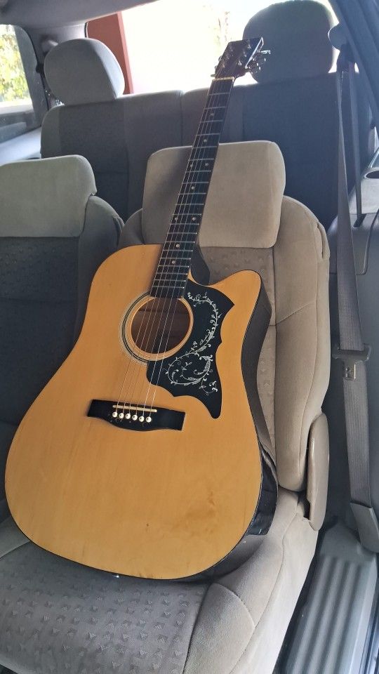 crustic guitar