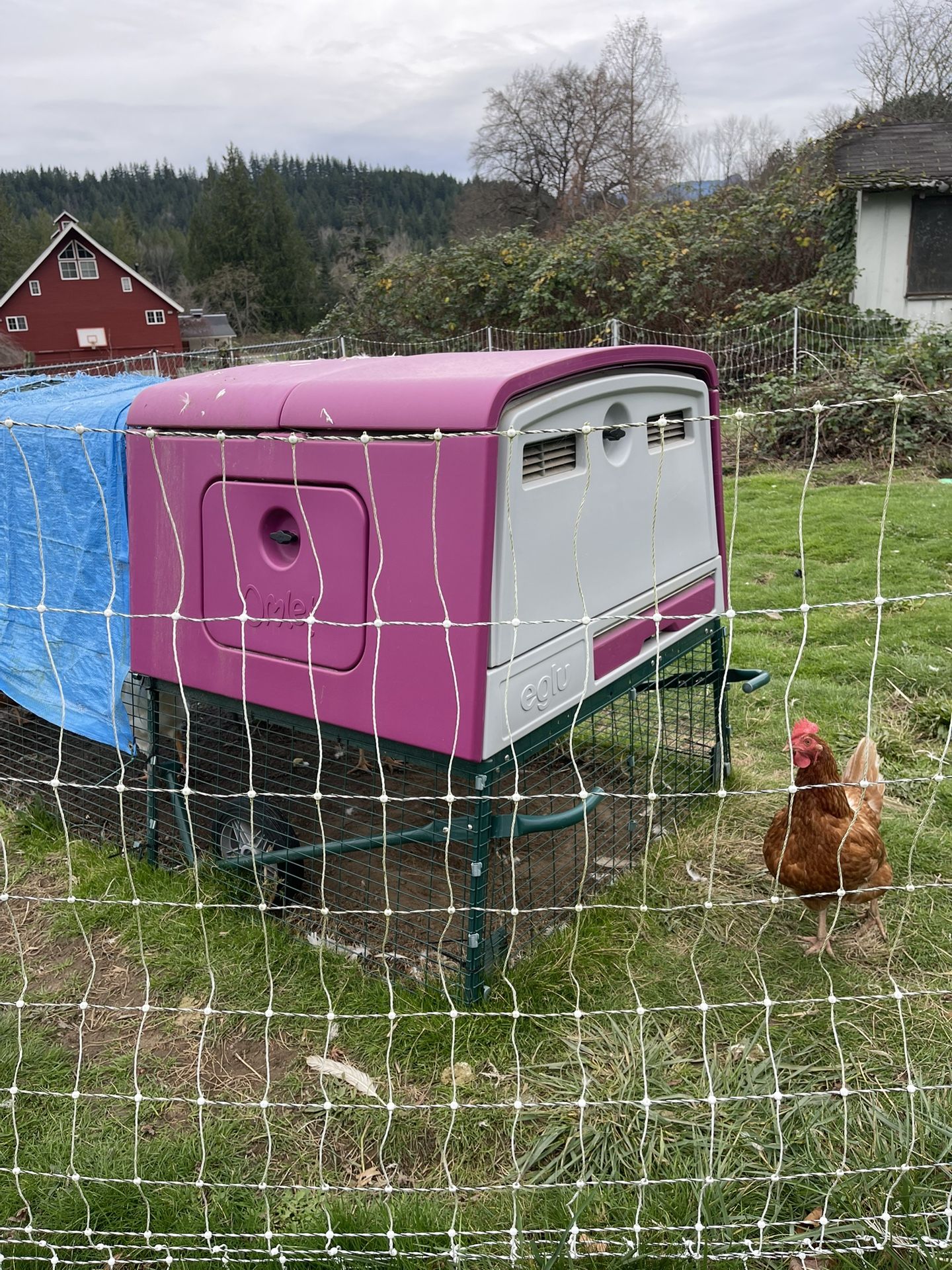 For Sale: Omlet Chicken Coop (9 ft Run) + Solar Electric Fence