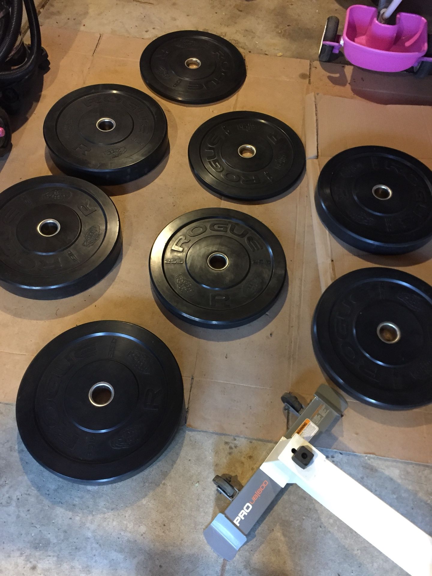 Rogue HG 2.0 Bumper Plates - 230LB Set