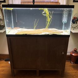 AXOLOTL and Complete Set Up