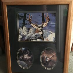 Big buck picture
