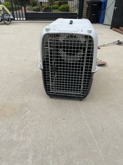 Large Dog Kennel