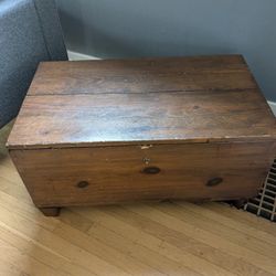 Storage Trunk