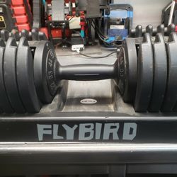 Barbell Adjustable Weights